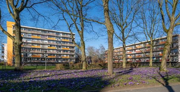 Afbeelding4 (1)